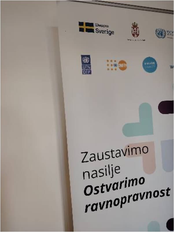 Trening: Procena rizika u slučajevima rodno zasnovanog nasilja za profesionalce iz oblasti socijalne zaštite — slika 3